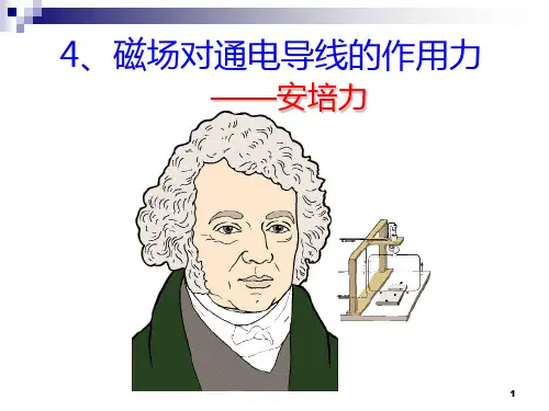 安培力(精华版)PPT课件