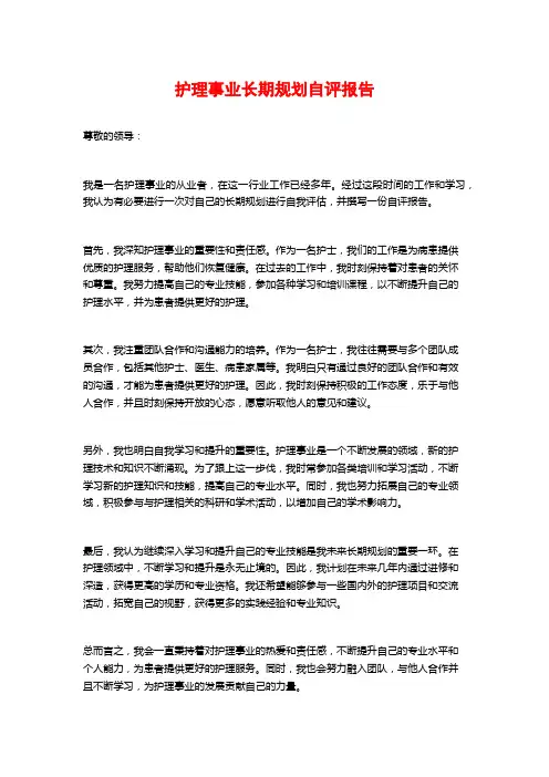 护理事业长期规划自评报告