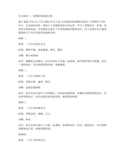 宠物医院实习报告病例分析