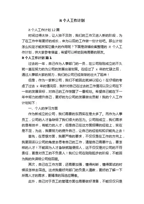 it个人工作计划