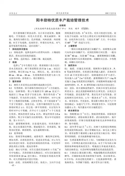 阳丰甜柿优质丰产栽培管理技术