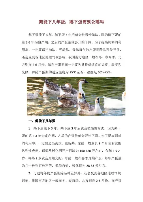 鹅能下几年蛋,鹅下蛋需要公鹅吗