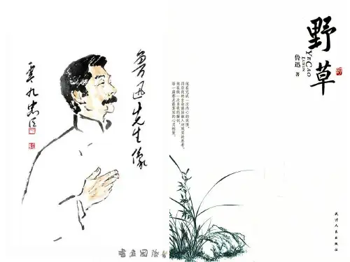野草_鲁迅.pptx