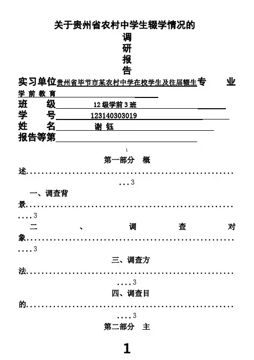 关于农村中学生辍学情况的调查报告