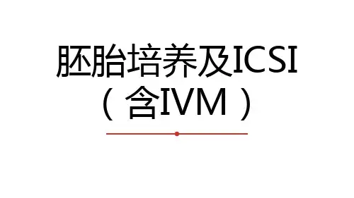 试管婴儿胚胎实验室操作流程PPT