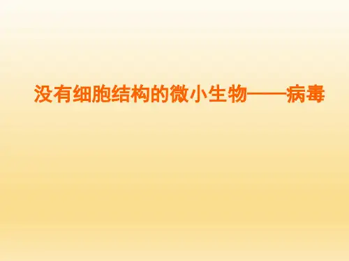 人教课标版初中七年级生物课精品PPT教学课件-没有细胞结构的微小生物——病毒