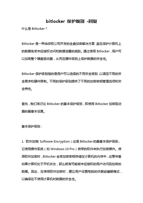 bitlocker 保护级别 -回复