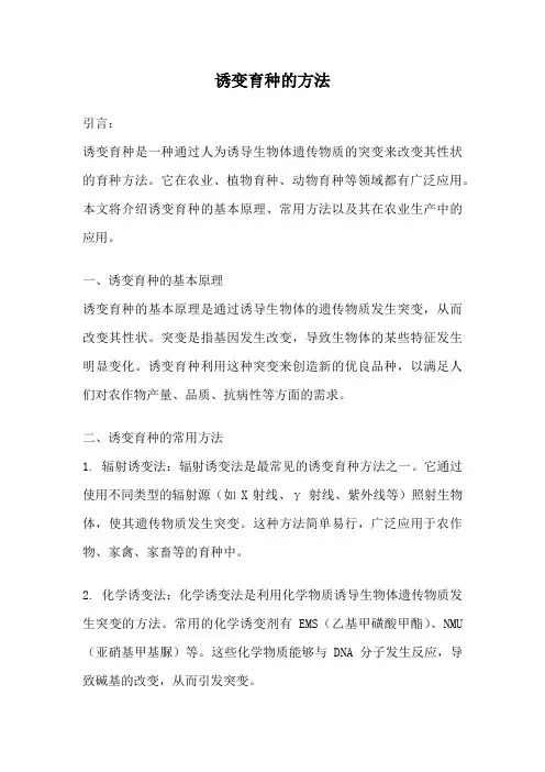 诱变育种的方法