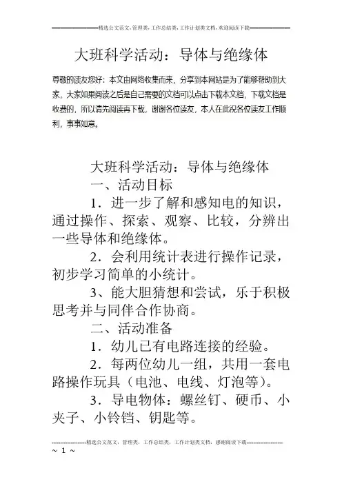 大班科学活动：导体与绝缘体
