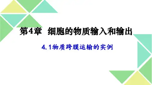 高中生物必修一课件物质跨膜运输实例1