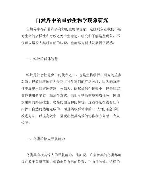 自然界中的奇妙生物学现象研究