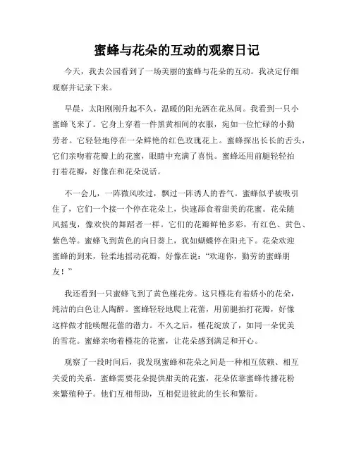 小学三年级作文蜜蜂与花朵的互动的观察日记