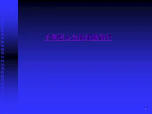 2.9.3第二章第九节手厥阴心包经