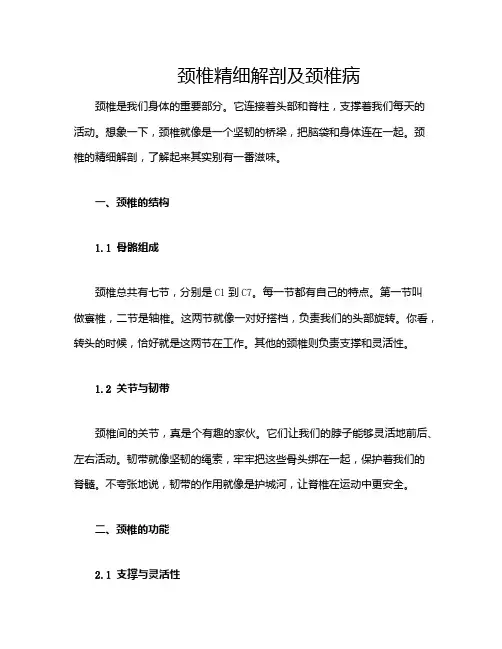 颈椎精细解剖及颈椎病