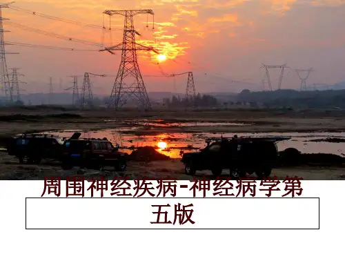 最新周围神经疾病-神经病学第五版