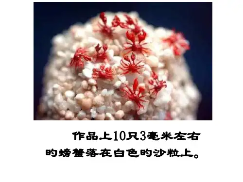 人教版八年级语文下册《核舟记》名师公开课获奖课件百校联赛一等奖课件