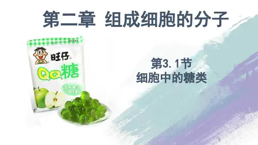 细胞中的糖类和脂质ppt课件