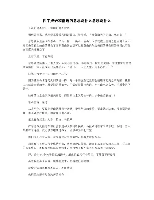 四字成语和俗语的意思是什么意思是什么
