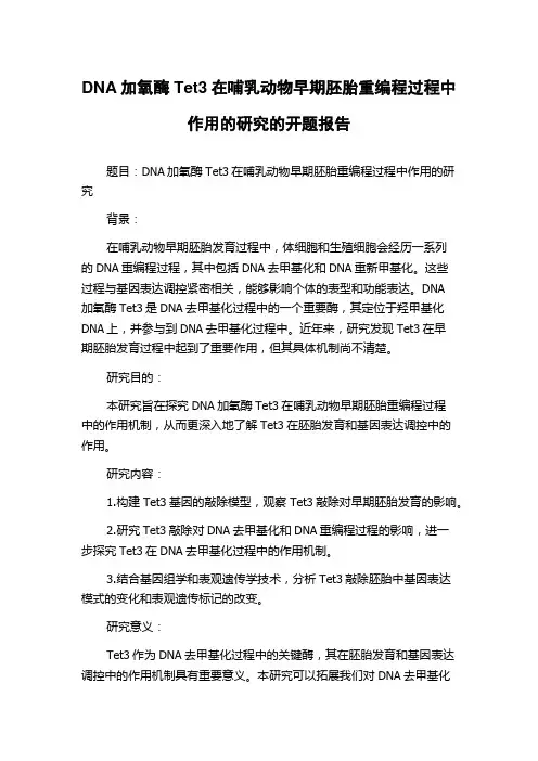 DNA加氧酶Tet3在哺乳动物早期胚胎重编程过程中作用的研究的开题报告