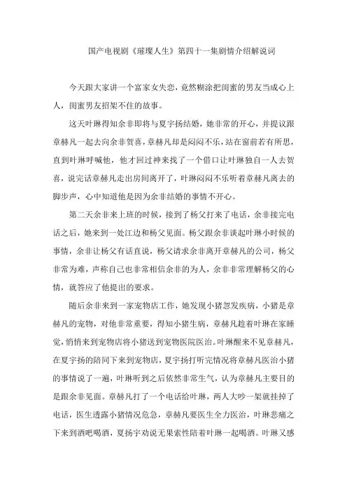 国产电视剧《璀璨人生》第四十一集剧情介绍解说词