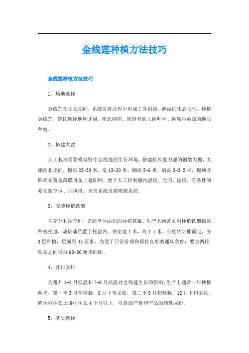 金线莲种植方法技巧