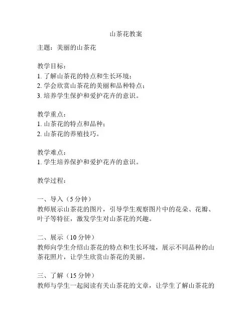 山茶花教案