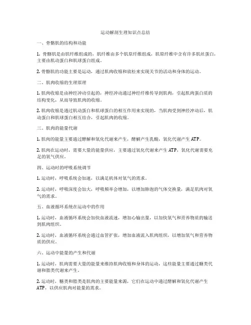 运动解剖生理知识点总结