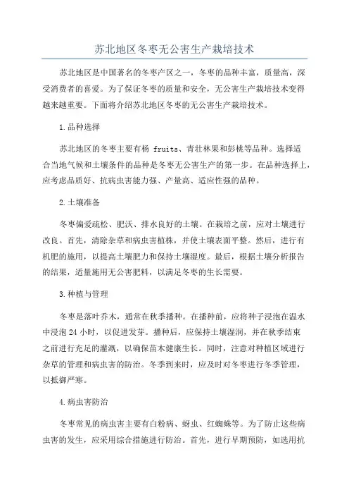 苏北地区冬枣无公害生产栽培技术