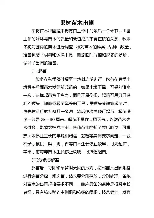 果树苗木出圃