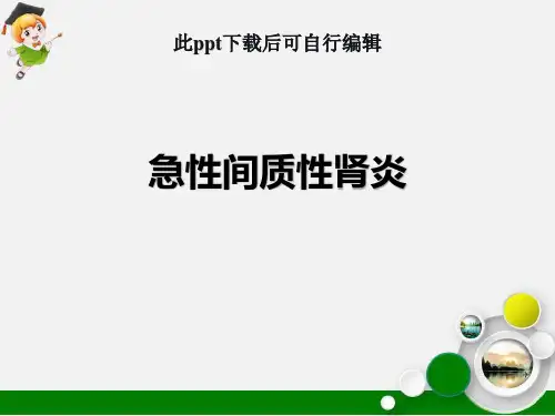 急性间质性肾炎ppt课件