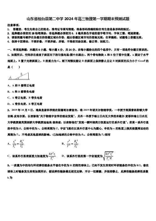 山东省桓台县第二中学2024年高三物理第一学期期末预测试题含解析