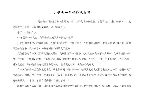 小学生一年级作文5篇