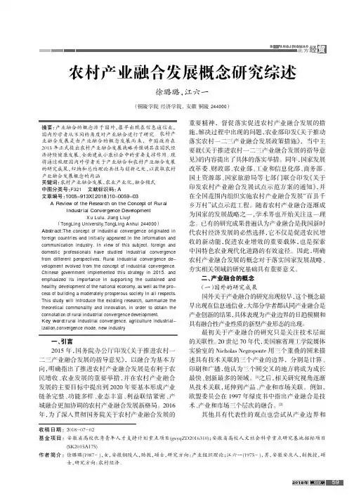 农村产业融合发展概念研究综述