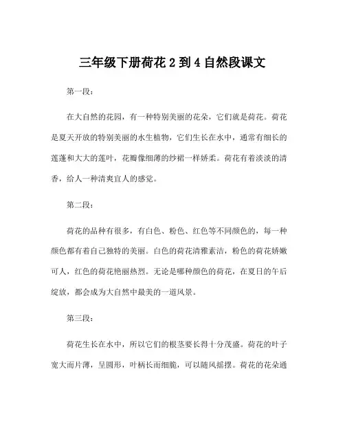 三年级下册荷花2到4自然段课文