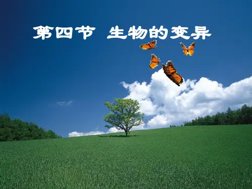 高中生物必修三全套课件