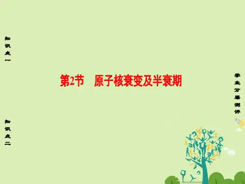 高中物理第3章原子核与放射性第2节原子核衰变及半衰期课件鲁科版选修3-5