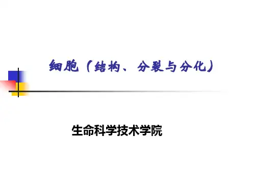 细胞学说 图文 