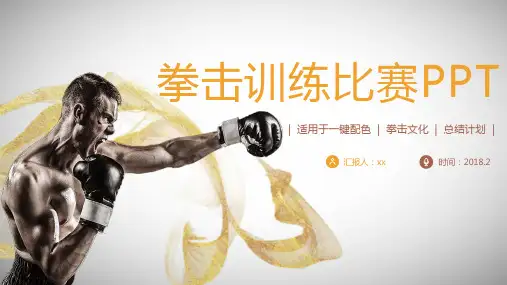 拳击文化拳击训练比赛PPT模板