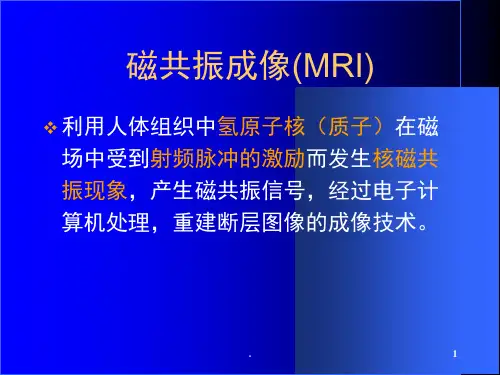 磁共振临床应用及进展课堂PPT