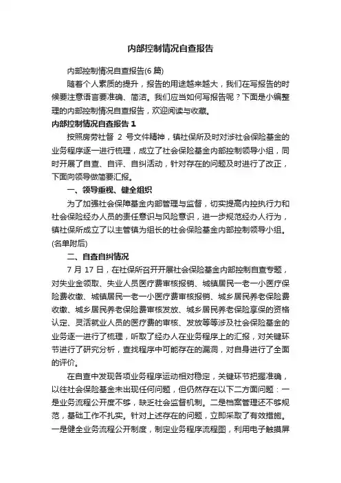 内部控制情况自查报告