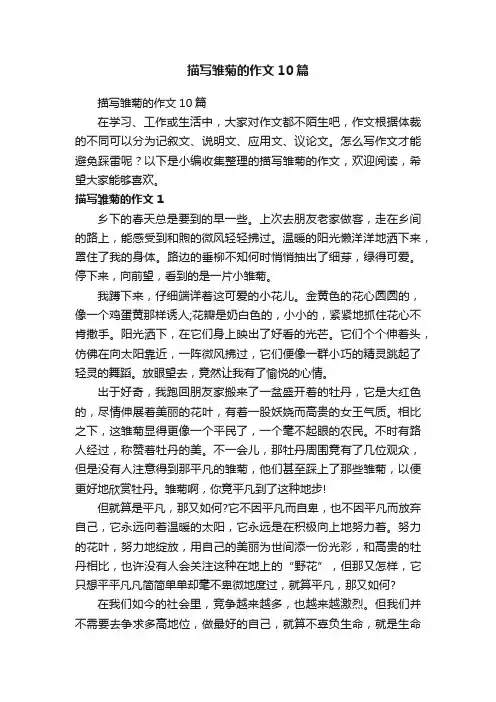 描写雏菊的作文10篇