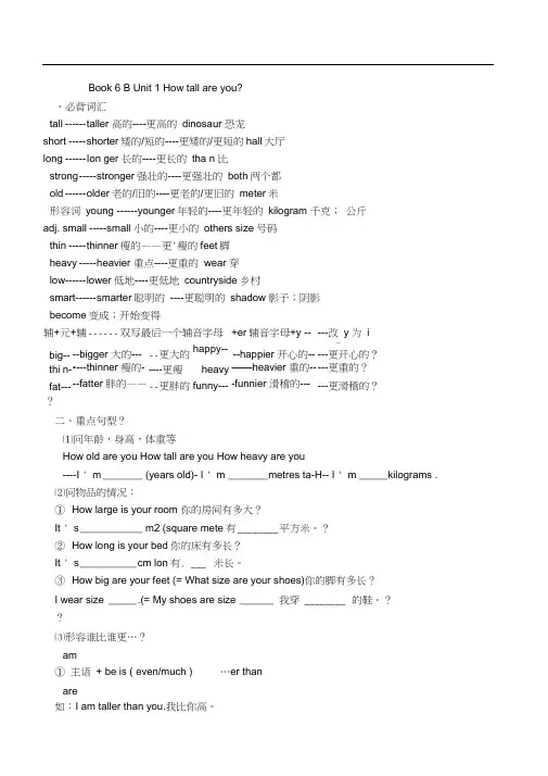 新版人教版六年级英语下册知识点总结