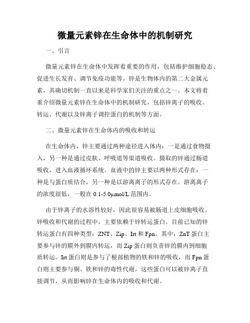 微量元素锌在生命体中的机制研究