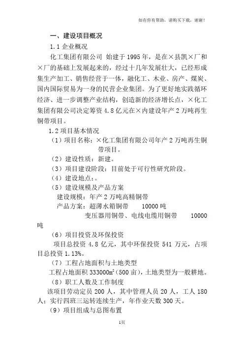 年产2万吨再生铜带项目环境影响报告