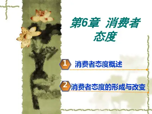 第6章  消费者态度(消费者行为学)