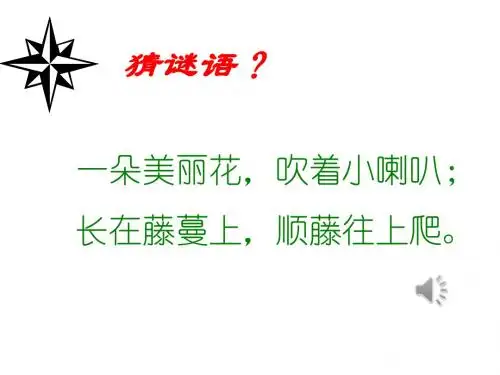 丁丁和牵牛花_(2)