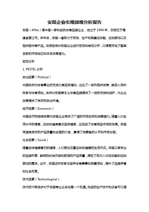 安踏企业宏观微观分析报告