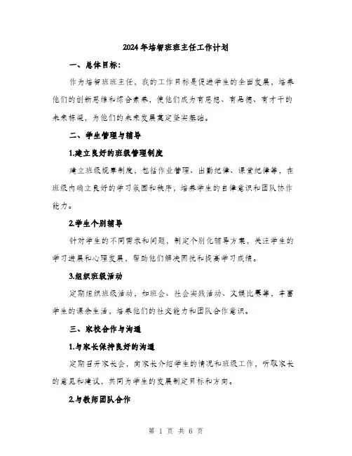 2024年培智班班主任工作计划(二篇)