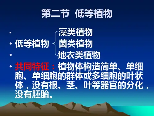 低、高等植物ppt课件