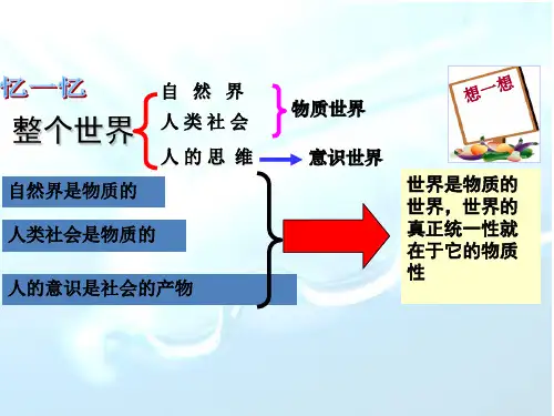 《意识的本质》最新公开课ppt课件